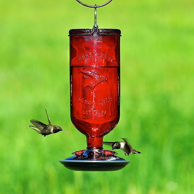 perky pet 8109 2 antique glass bottle hummingbird feeder 16 ounce capacity red